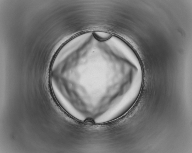 X0000112720949200909101444