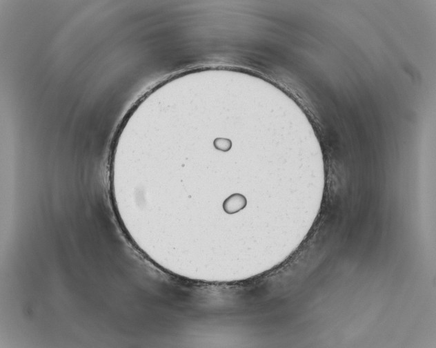 X0000112720950200909101444