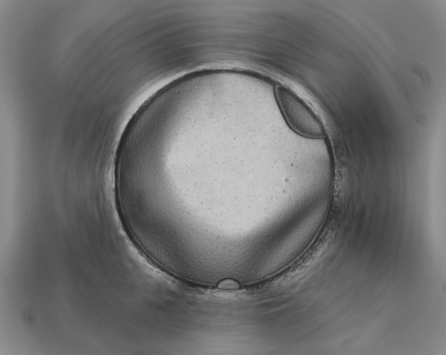 X0000112720951200909101444