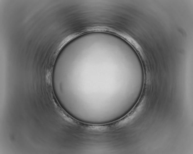 X0000112720953200909101444