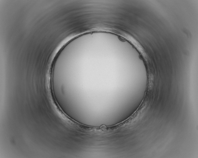 X0000112720955200909101444