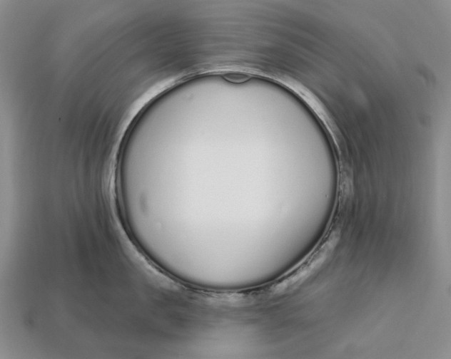 X0000112720957200909101444