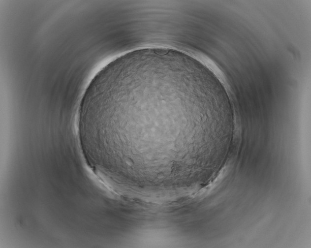 X0000112720958200909101444