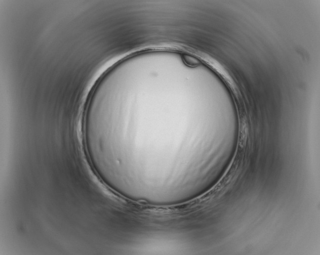 X0000112720959200909101444