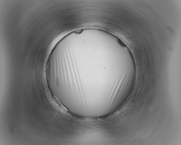 X0000112720960200909101444