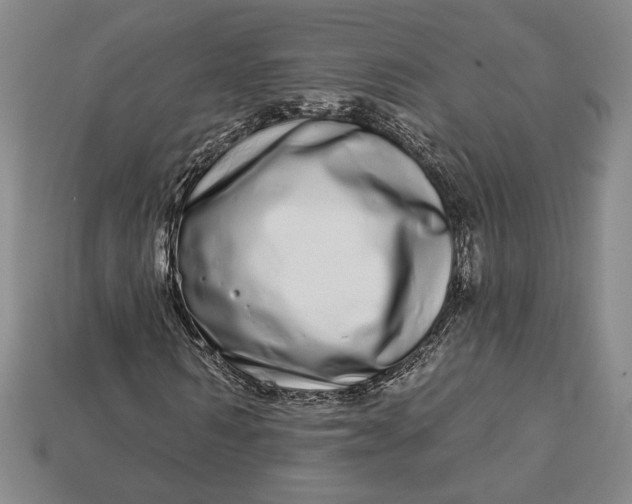 X0000112720962200909101443