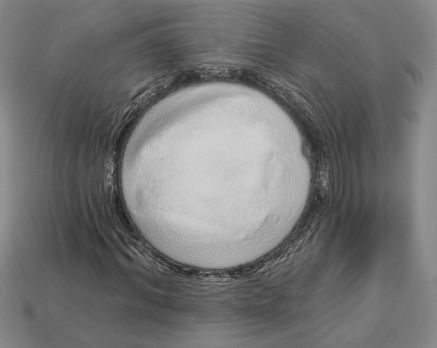 X0000112720964200909101443