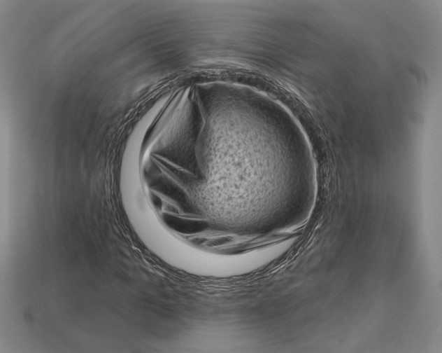 X0000112720965200909101443