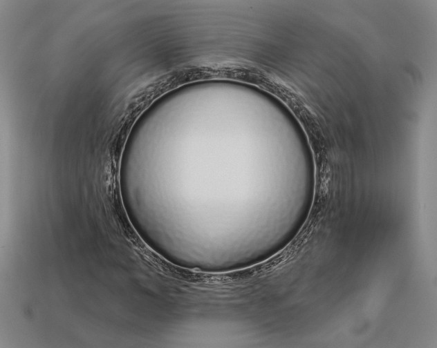 X0000112720966200909101443