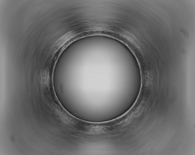 X0000112720969200909101443