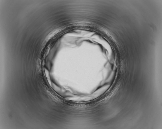 X0000112720970200909101443