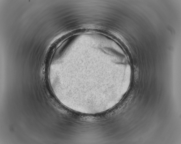 X0000112720971200909101443