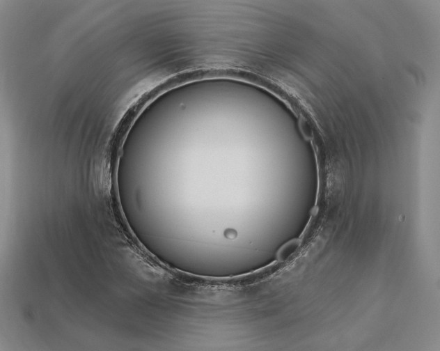 X0000112720973200909101443