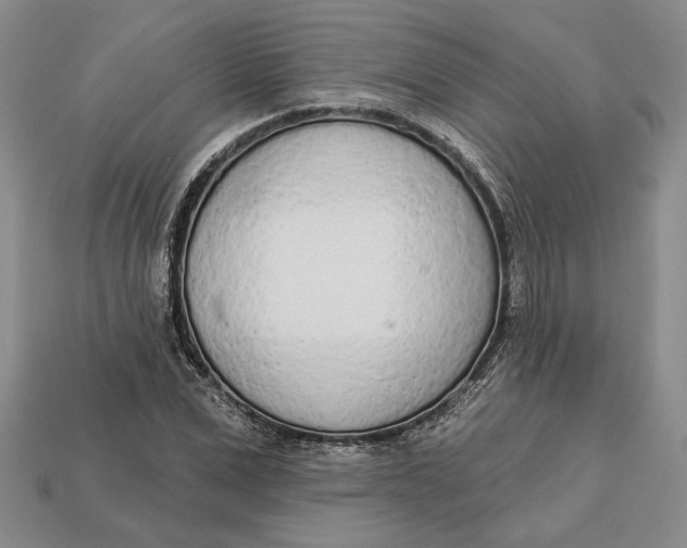 X0000112720975200909101443