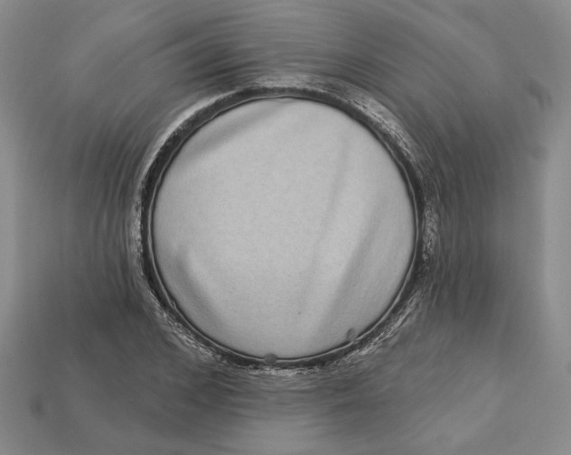 X0000112720976200909101443