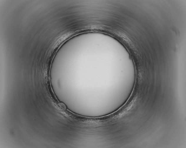 X0000112720977200909101443