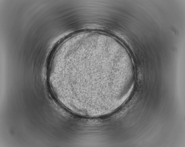 X0000112720979200909101443