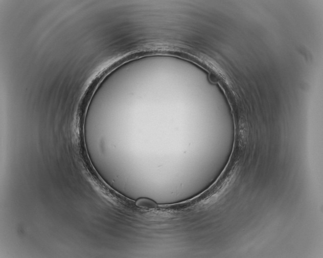 X0000112720981200909101443