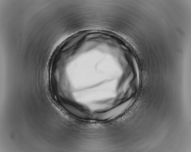 X0000112720982200909101443