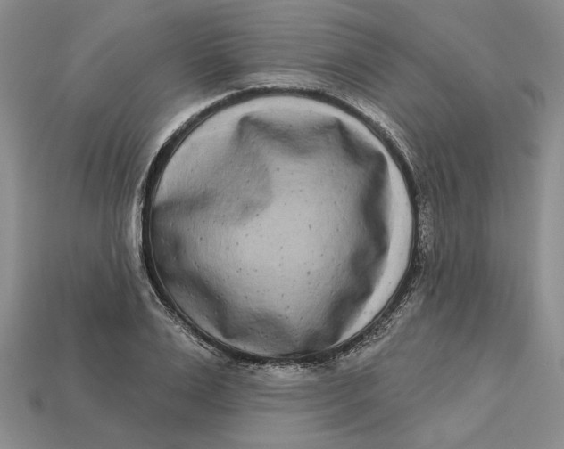 X0000112720983200909101443