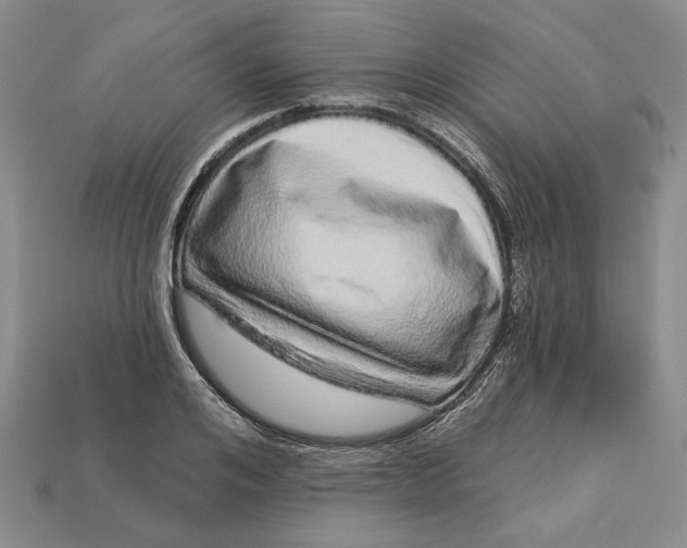 X0000112720984200909101443