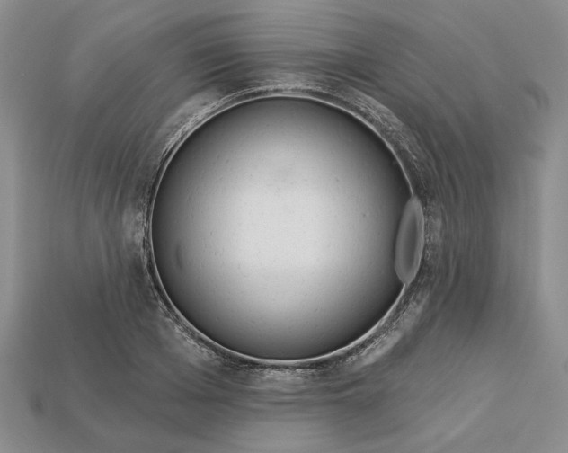 X0000112720985200909101443