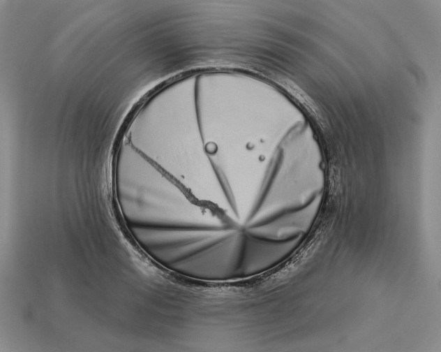 X0000112720988200909101443