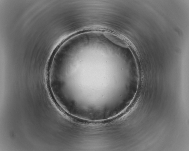 X0000112720989200909101443