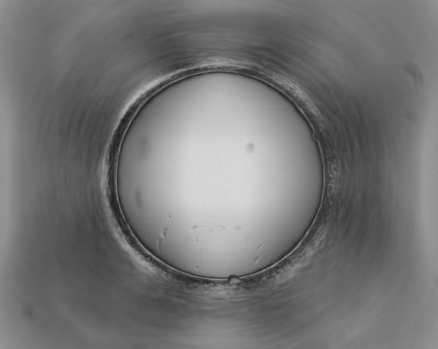 X0000112720991200909101443