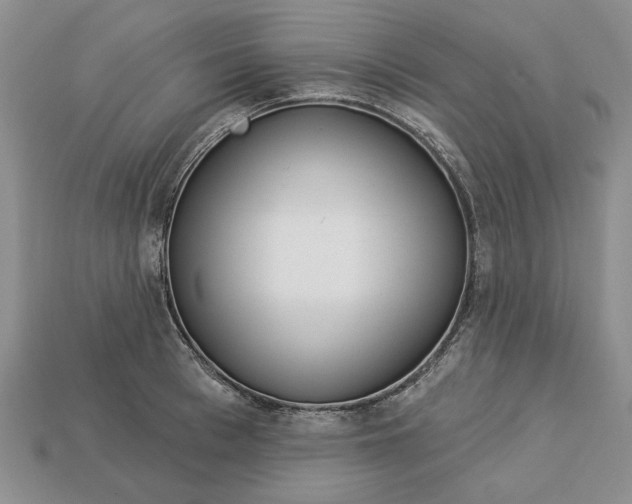 X0000112720993200909101443