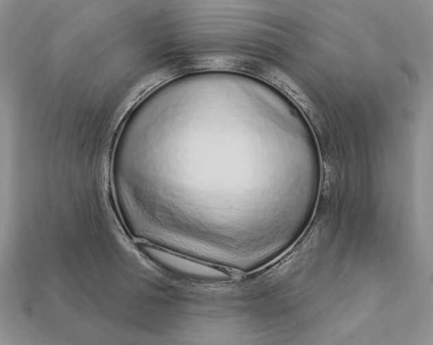 X0000112720994200909101443