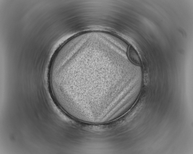 X0000112720995200909101443