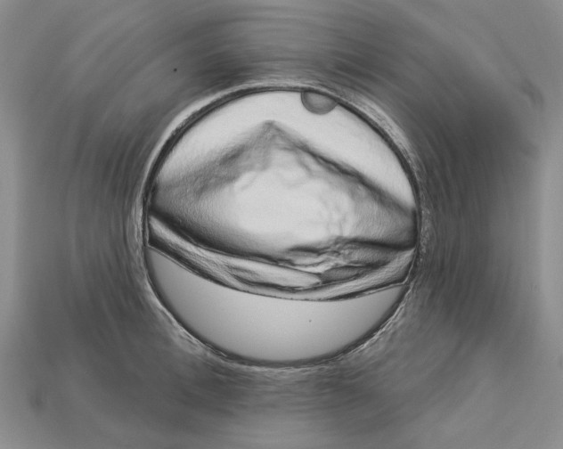 X0000112720996200909101443