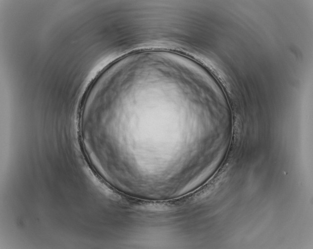 X0000112720998200909101443