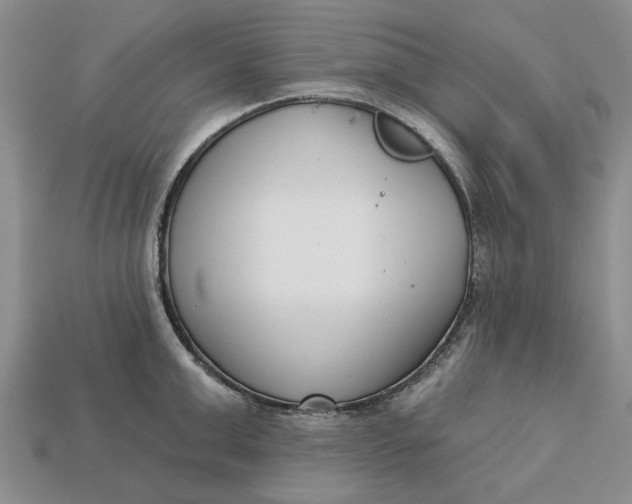 X0000112720999200909101443