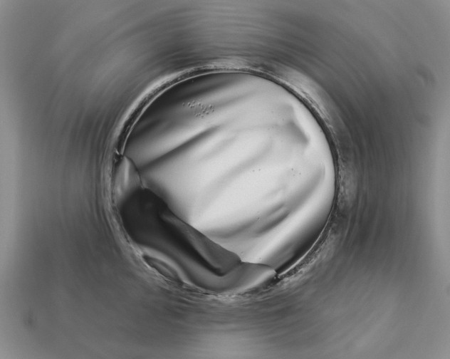 X0000112721000200909101443