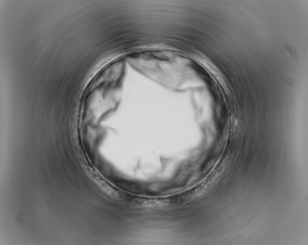 X0000112721002200909101443