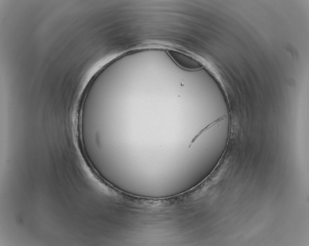 X0000112721003200909101443