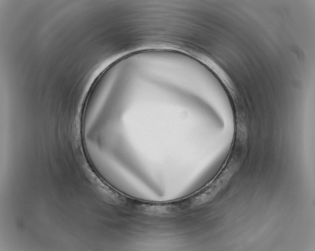 X0000112721004200909101443