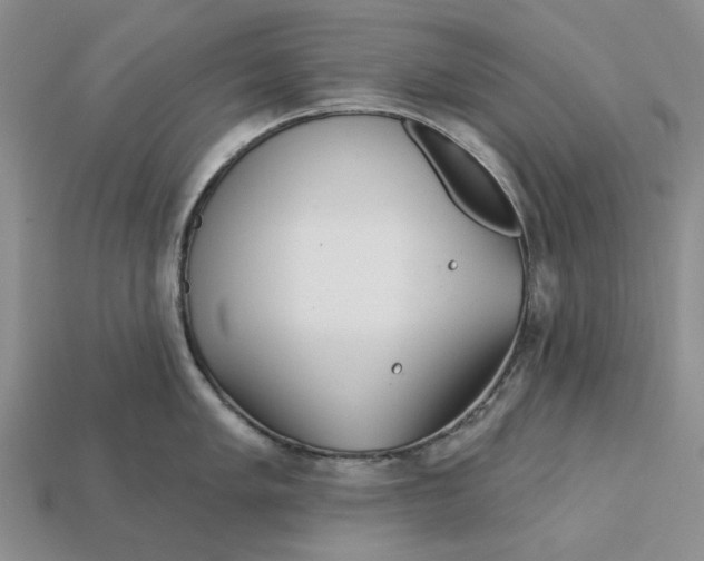 X0000112721005200909101443