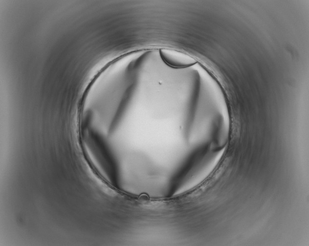 X0000112721006200909101443