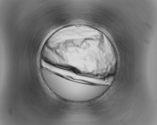 X0000112721008200909101442