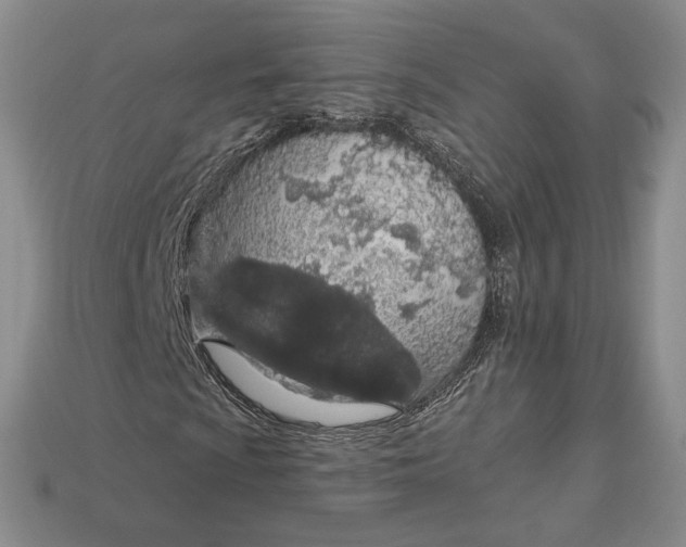 X0000112721009200909101442