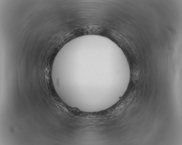 X0000112721010200909101442