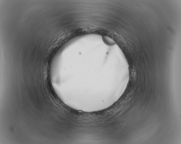 X0000112721012200909101442