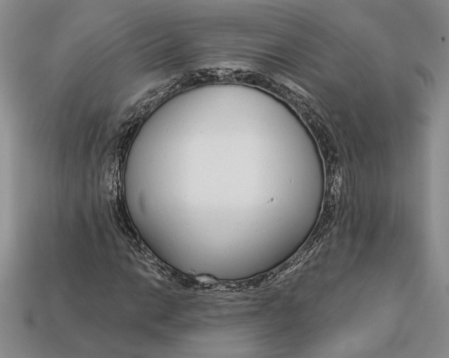 X0000112721014200909101442