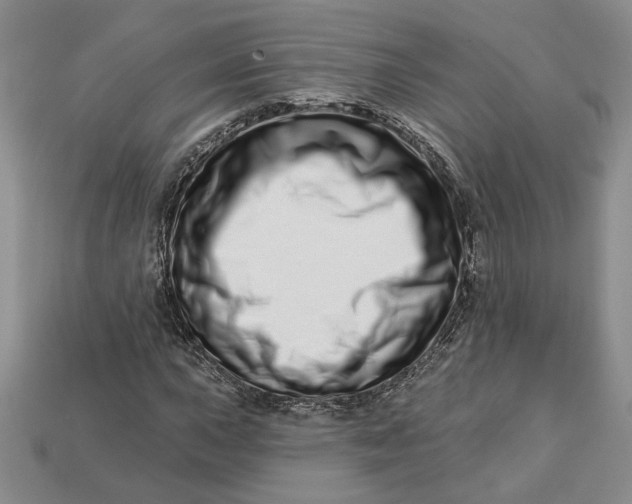 X0000112721015200909101442