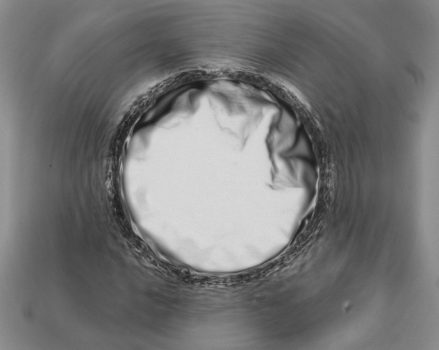 X0000112721016200909101442