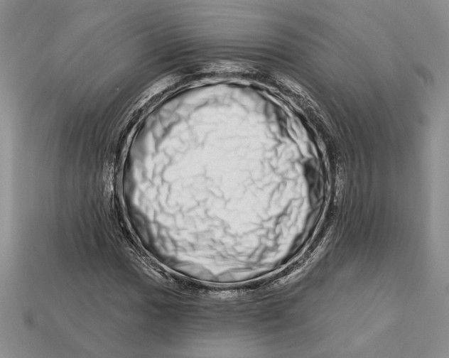 X0000112721017200909101442