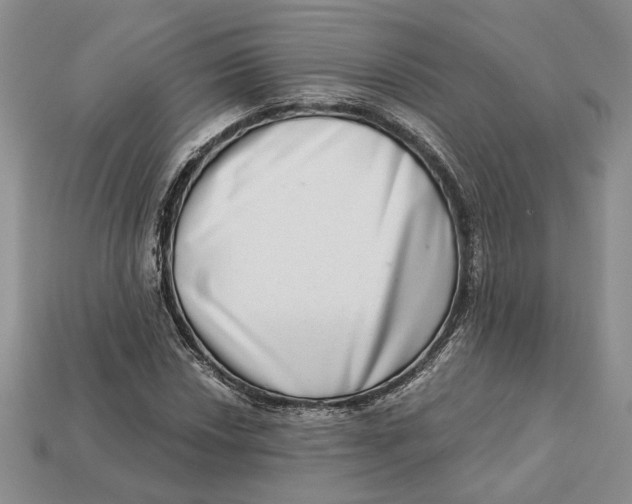 X0000112721018200909101442